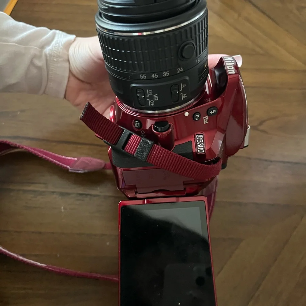 Nikon D3500 Red